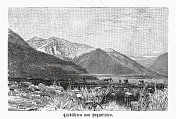 阿根廷的科迪勒拉(Principal Cordillera)，木版画，1899年出版