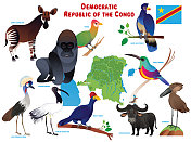 刚果民主共和国和动物