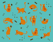 绿色背景下的红猫