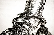 人性化的动物插图:戴礼帽的小鸟