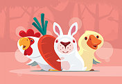 兔子遇见小鸭和鸡 兔子遇见小鸭和鸡