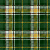 绿色和黄色苏格兰格子格图案织物样品