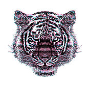 西伯利亚虎头与故障技术 西伯利亚虎头与故障技术