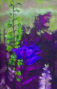 插画油画风景画紫色的百合花和铃铛，背景是树叶、树木和草