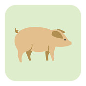猪-农业图标在绿色背景上的平面颜色