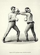 两个拳击手，拳击姿势，左手交叉反击，维多利亚搏击运动，19世纪