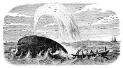 渔夫在1854年的划艇上捕鲸
