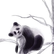 树上的水彩画熊猫