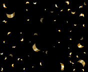 闪闪发光的黑色 闪闪发光的黑色