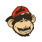 戴着太阳镜和棒球帽的猴头。微笑的猴子、猿猴或大猩猩吉祥物