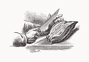 沙拉准备，怀旧的场景从过去，木刻，出版1898年