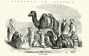 阿尔及利亚，阿拉伯人和骆驼的古插图素描，北非历史，19世纪50年代