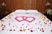 心形的玫瑰和花在婚礼床上