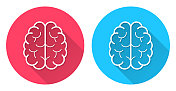 大脑俯视图。圆形图标与长阴影在红色或蓝色的背景