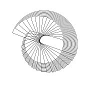形成几何图案的抽象螺旋线。