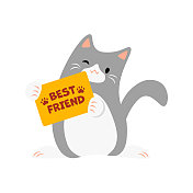 最好的朋友，可爱的猫。