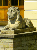 俄罗斯圣彼得堡巴甫洛夫斯克宫石狮雕