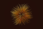 线条艺术烟花造型