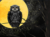 一只橙色眼睛的猫头鹰栖息在光秃秃的树枝上，映衬着明亮的月亮