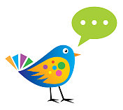 会说话的鸟 会说话的鸟