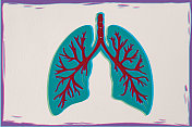 人类的肺 人类的肺