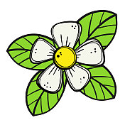 可爱的茉莉花卡通孤立在白色 可爱的茉莉花卡通孤立在白色