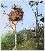 古色古香的黑白照片:亭吉安树屋，菲律宾