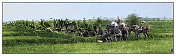 古色古色的黑白照片:菲律宾卡洛坎附近的战壕