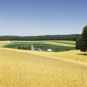 夏季带农场景观(图片尺寸XXXL)