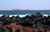 加拉帕戈斯群岛:宽边帽Chino(中国帽)岛海岸线