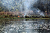尼泊尔:奇旺国家公园发生丛林大火