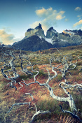 Torres del Paine - 智利巴塔哥尼亚