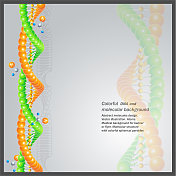 抽象分子DNA设计。矢量插图。原子。旗帜或传单的医学背景。带有彩色球形粒子的分子DNA