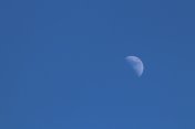 晴朗的蓝天上，白天的半月形月亮