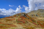 在上Val di Susa的小径，在意大利一侧的山Montgenèvre。意大利北部山麓,