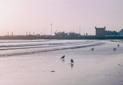 海边的Essaouira