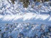 越野滑雪鸟瞰图