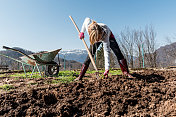 在山上花园挖土的女人