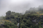 新西兰米尔福德湾的壮观荒野