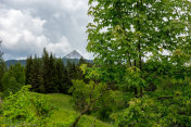 典型的奥地利阿尔卑斯山脉风景，有山脉和树木