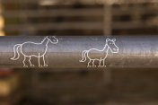 美国犹他州盐湖城农场围场栅栏上的装饰贴纸