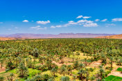 北非摩洛哥沙漠绿洲