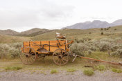 美国犹他州盐湖城圣塔昆山谷的一辆马车