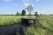 荷兰有沟渠的圩田景观