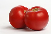 tomatos网络