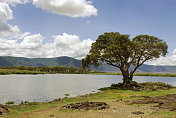 恩戈罗戈罗火山口的景观