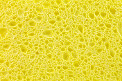 黄色海绵毛孔