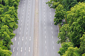 城市道路上绿树成荫的箭头标志