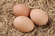棕色的散养鸡蛋躺在稻草上。