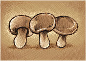 新鲜的蘑菇